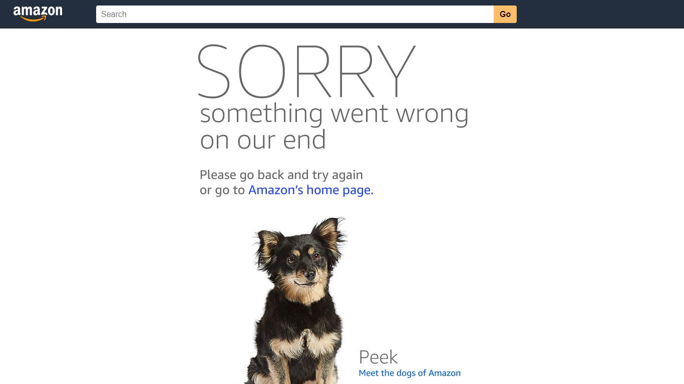 Amazon.com: today mug
